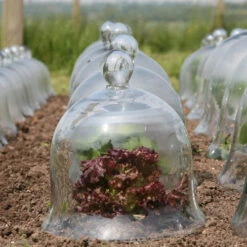 Access Glass Bells Set Of Three -GreenHaven Shop ACCBELL10 b0b5268f 3b4d 415c 9358 dc0570589112