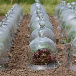 Access Glass Bells -GreenHaven Shop ACCBELL3