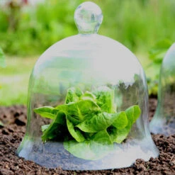 Access Glass Bells Set Of Three -GreenHaven Shop ACCBELL8 698ebf31 f424 4094 bc12 8ee4f1ba50bf