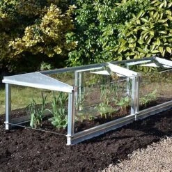 Access Glass Cloche -GreenHaven Shop ACCCLO5