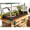 Bio Green Jumbo Propagator -GreenHaven Shop BGJP1