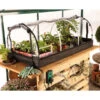 Jumbo Propagator Set -GreenHaven Shop BGJPSET1