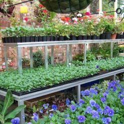 Commercial Bench Extra Tier -GreenHaven Shop CBET6