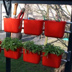 Caddy Rack -GreenHaven Shop CR1