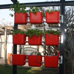 Caddy Rack -GreenHaven Shop CR10