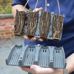 28 Cell Deep Root Plant Cells -GreenHaven Shop DRPC288