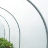 Diffused Tunnel Greenhouse Polythene -GreenHaven Shop DTGP1
