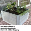 Elite Roots & Shoots Raised Beds