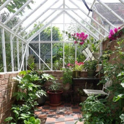 Elite Thyme 6'3" Wide Greenhouse For Dwarf Wall 9 Elite Thyme 6'3" Wide Greenhouse For Dwarf Wall -GreenHaven Shop ETM6DW3