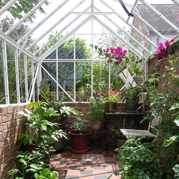 Elite Thyme 6'3" Wide Greenhouse For Dwarf Wall 5 Elite Thyme 6'3" Wide Greenhouse For Dwarf Wall - Image 3