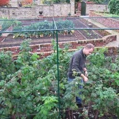 Deluxe 6' High Fruit Cage 9 Deluxe 6' High Fruit Cage -GreenHaven Shop FCD62