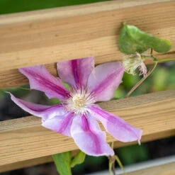 Forest Garden Living Screen Planter 10 Forest Garden Living Screen Planter -GreenHaven Shop FGLIVSCRPLANTHD4