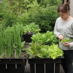 Ergrownomics - Four Square Planter Set -GreenHaven Shop FSPM3