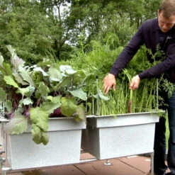 Ergrownomics - Four Square Planter Set -GreenHaven Shop FSPM4