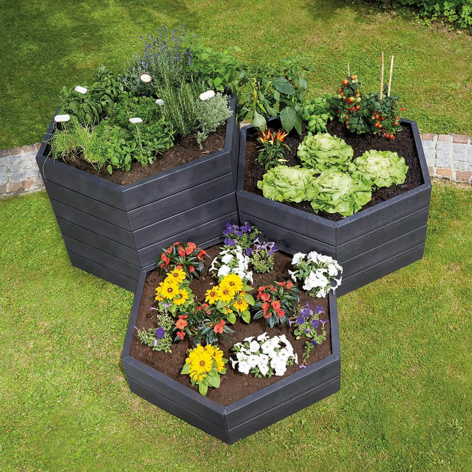 Ergo Raised Bed 4 Ergo Raised Bed - Image 2