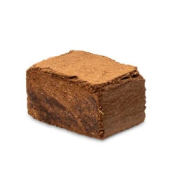 Maze Wormery -GreenHaven Shop GGMWF2