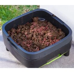 Maze Wormery -GreenHaven Shop GGMWF6