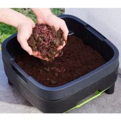 Maze Wormery -GreenHaven Shop GGMWF7