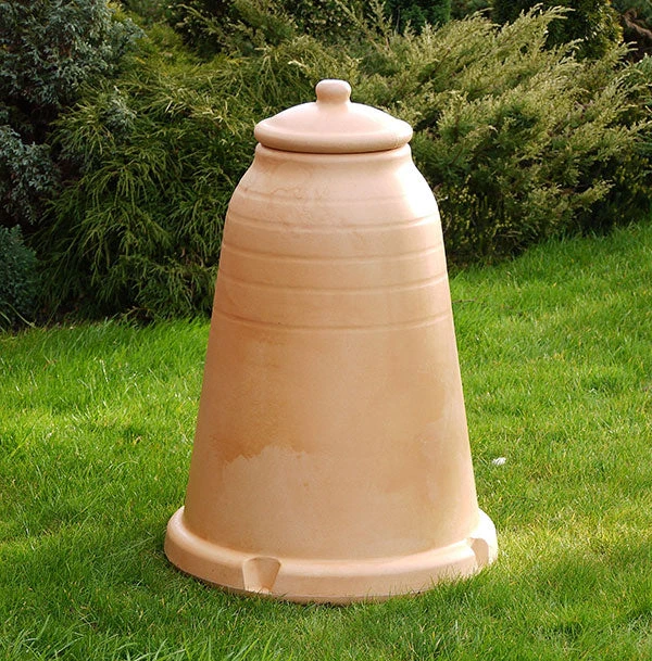 Rhubarb Forcer 3 Rhubarb Forcer