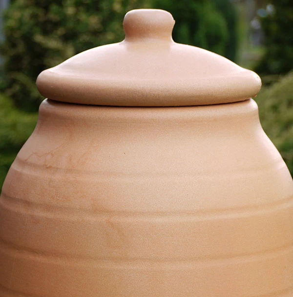 Rhubarb Forcer 4 Rhubarb Forcer - Image 2