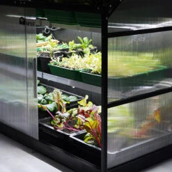 Sprout S14 Smart Mini Greenhouse -GreenHaven Shop HASP144