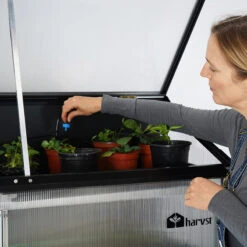Sprout S24 Smart Mini Greenhouse -GreenHaven Shop HASP244