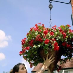 Hilo 8 Hilo -GreenHaven Shop HILO5