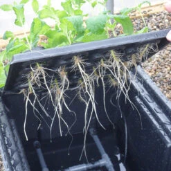 Hydropod Propagator -GreenHaven Shop HYCP14