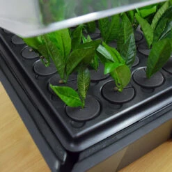Hydropod Propagator -GreenHaven Shop HYCP16