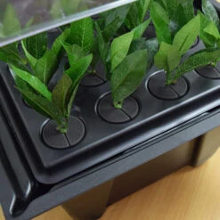Hydropod Propagator -GreenHaven Shop HYCP17