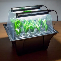 Hydropod Propagator -GreenHaven Shop HYCP19