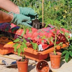 Hozelock Growbag Waterer -GreenHaven Shop HZGBW7