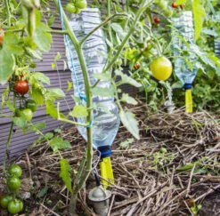 Iriso Watering Spike -GreenHaven Shop IWS02