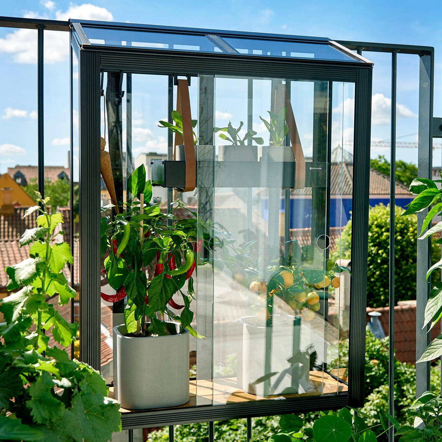 Juliana Balcony Greenhouse 7 Juliana Balcony Greenhouse - Image 5