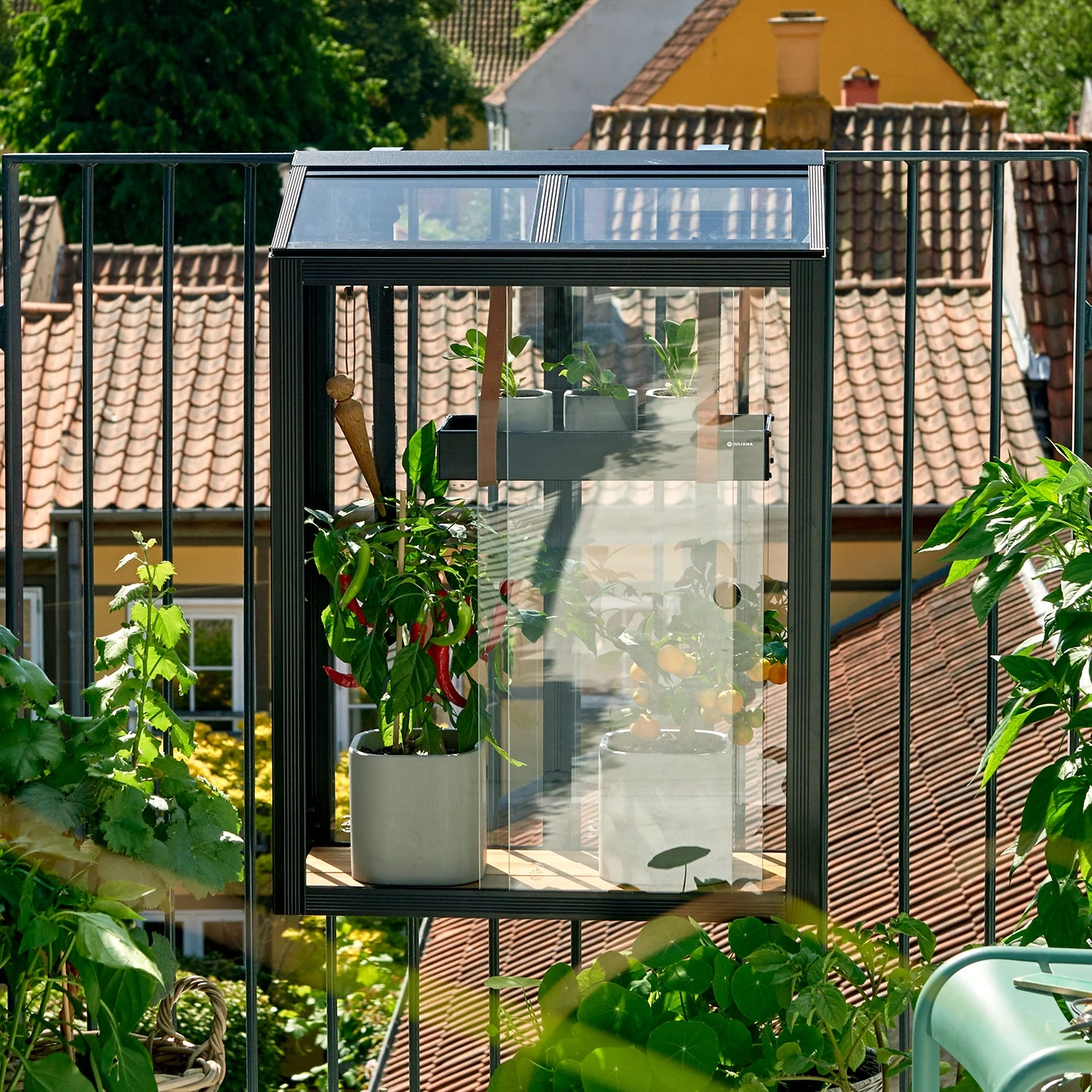 Juliana Balcony Greenhouse 5 Juliana Balcony Greenhouse - Image 3