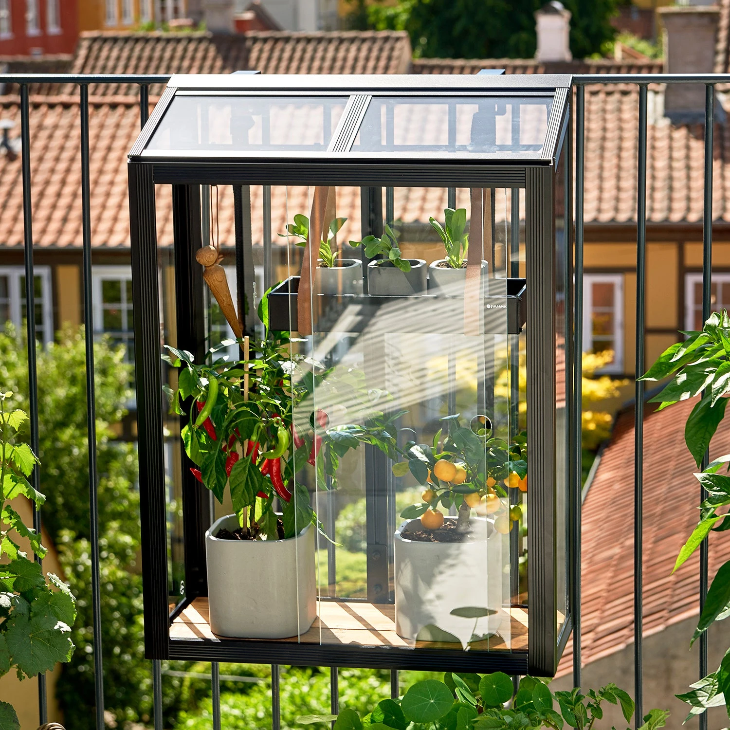Juliana Balcony Greenhouse 18 Juliana Balcony Greenhouse - Image 16