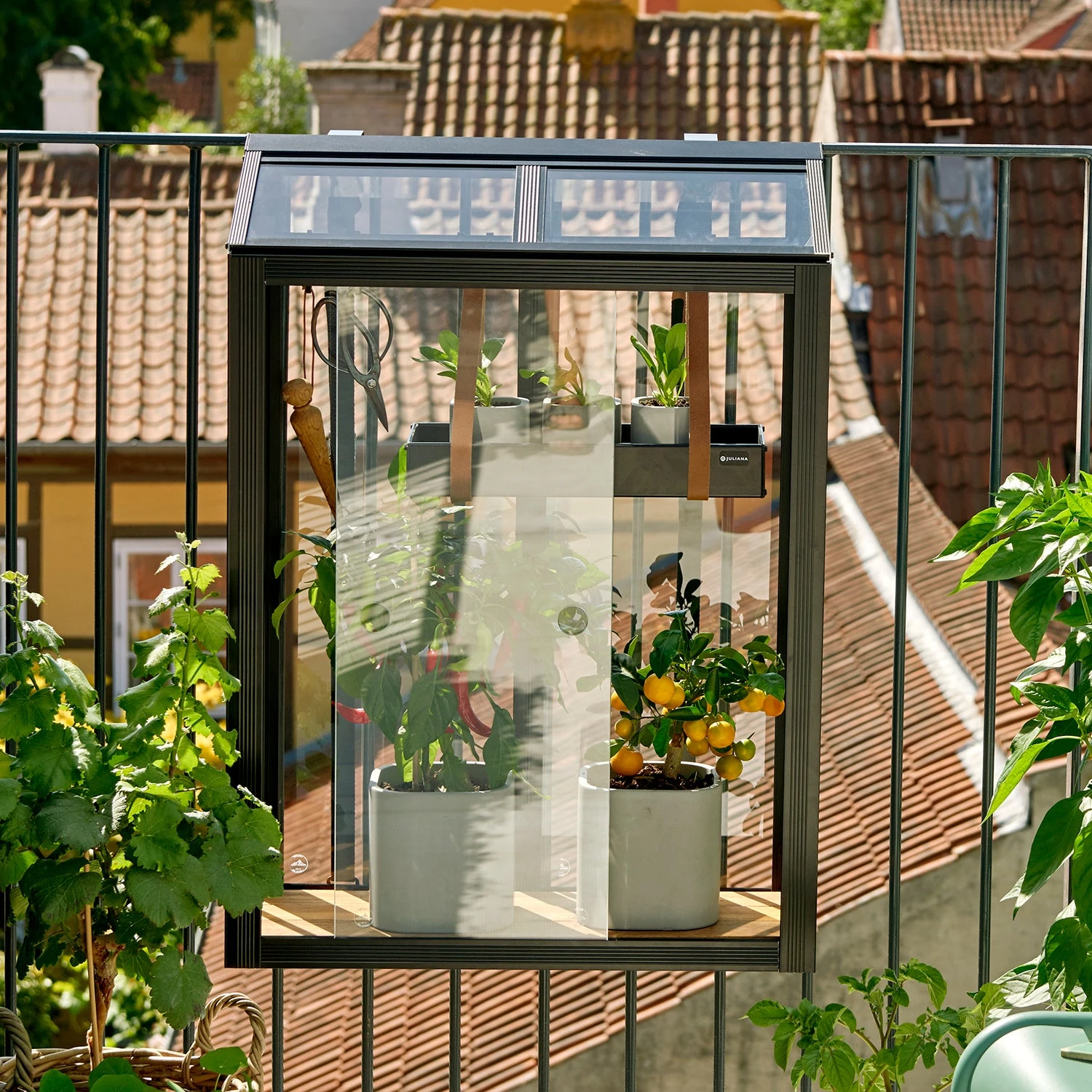 Juliana Balcony Greenhouse 3 Juliana Balcony Greenhouse