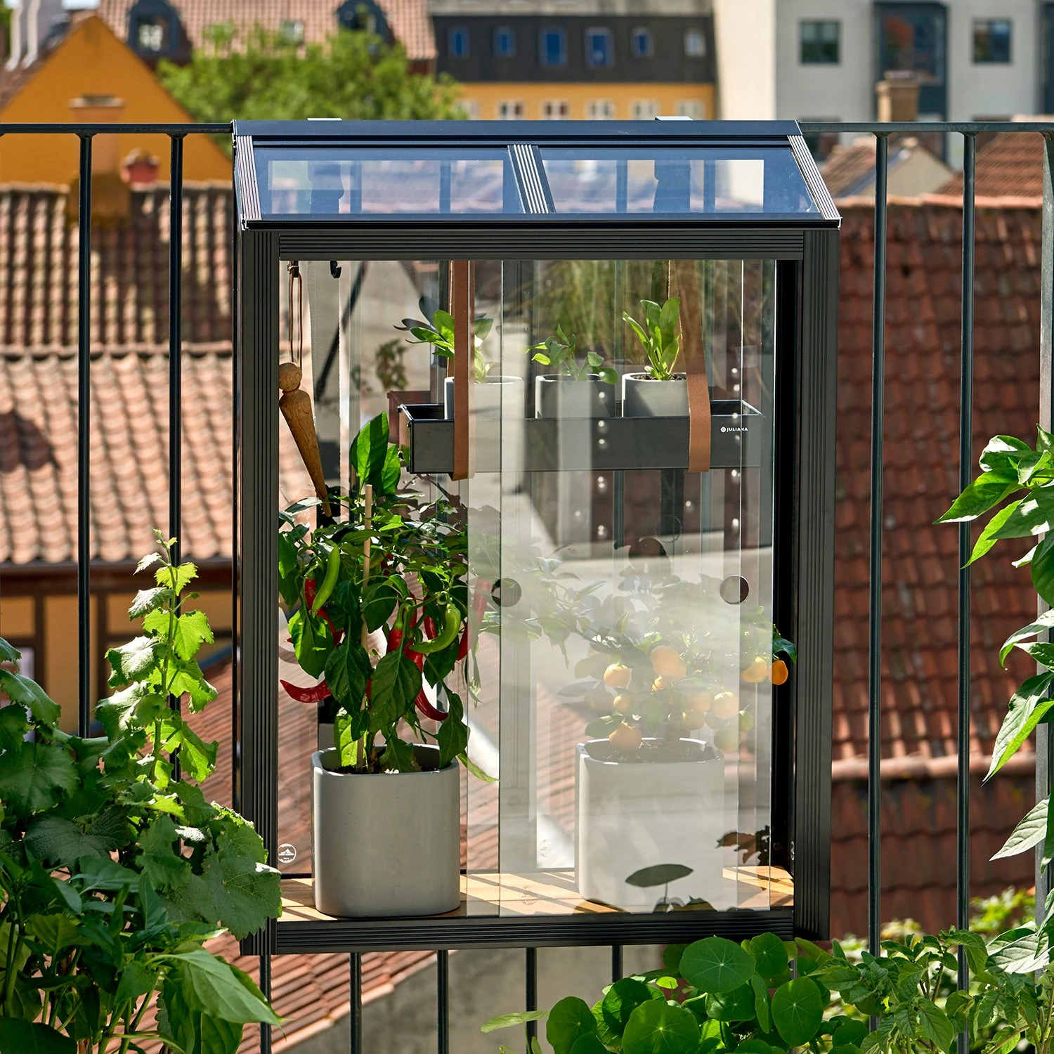 Juliana Balcony Greenhouse 17 Juliana Balcony Greenhouse - Image 15