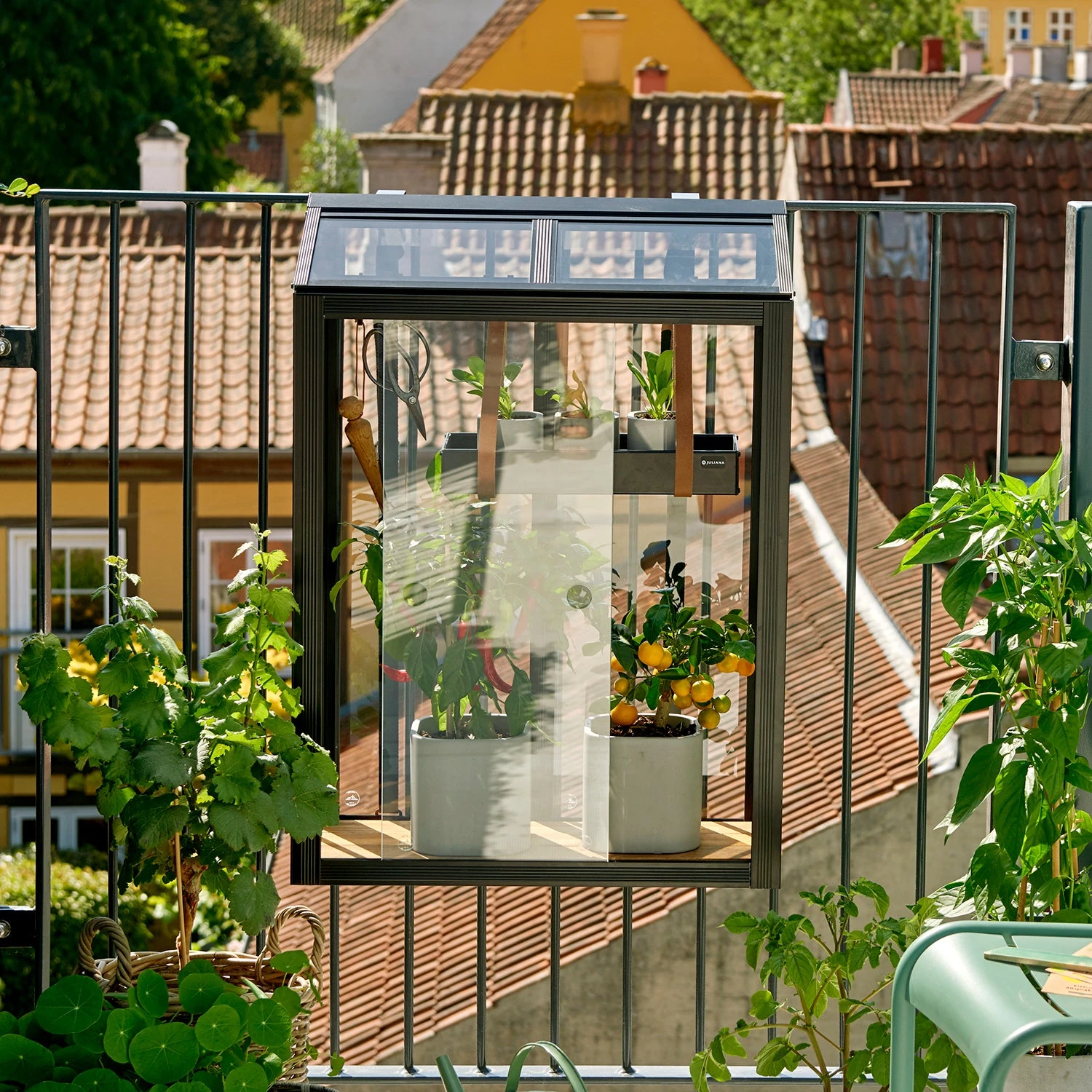 Juliana Balcony Greenhouse 16 Juliana Balcony Greenhouse - Image 14