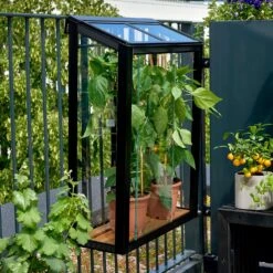 Juliana Balcony Greenhouse 32 Juliana Balcony Greenhouse -GreenHaven Shop JUBALCONY6