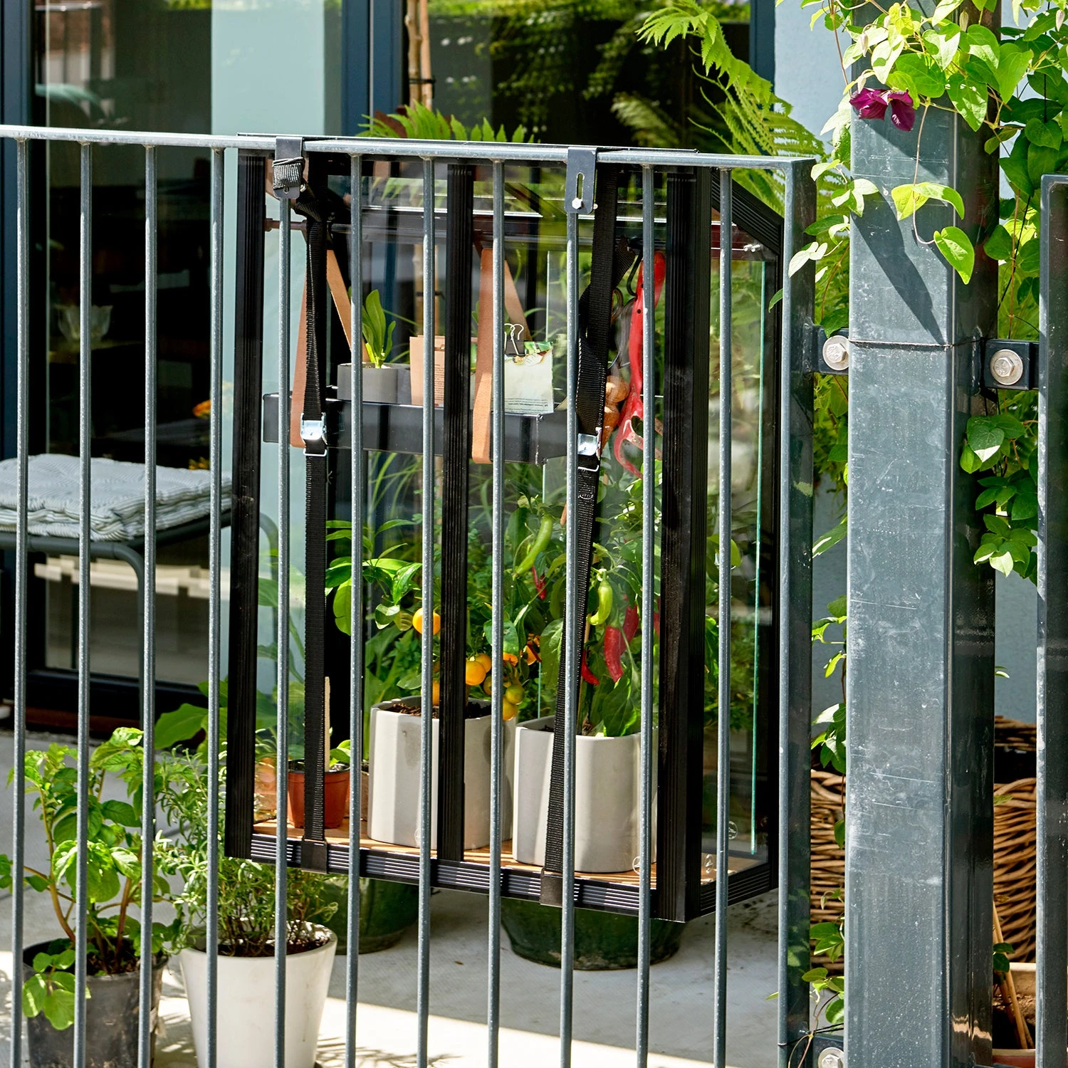 Juliana Balcony Greenhouse 12 Juliana Balcony Greenhouse - Image 10