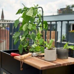 Juliana Vertical Greenhouse 31 Juliana Vertical Greenhouse -GreenHaven Shop JUVERTICAL2