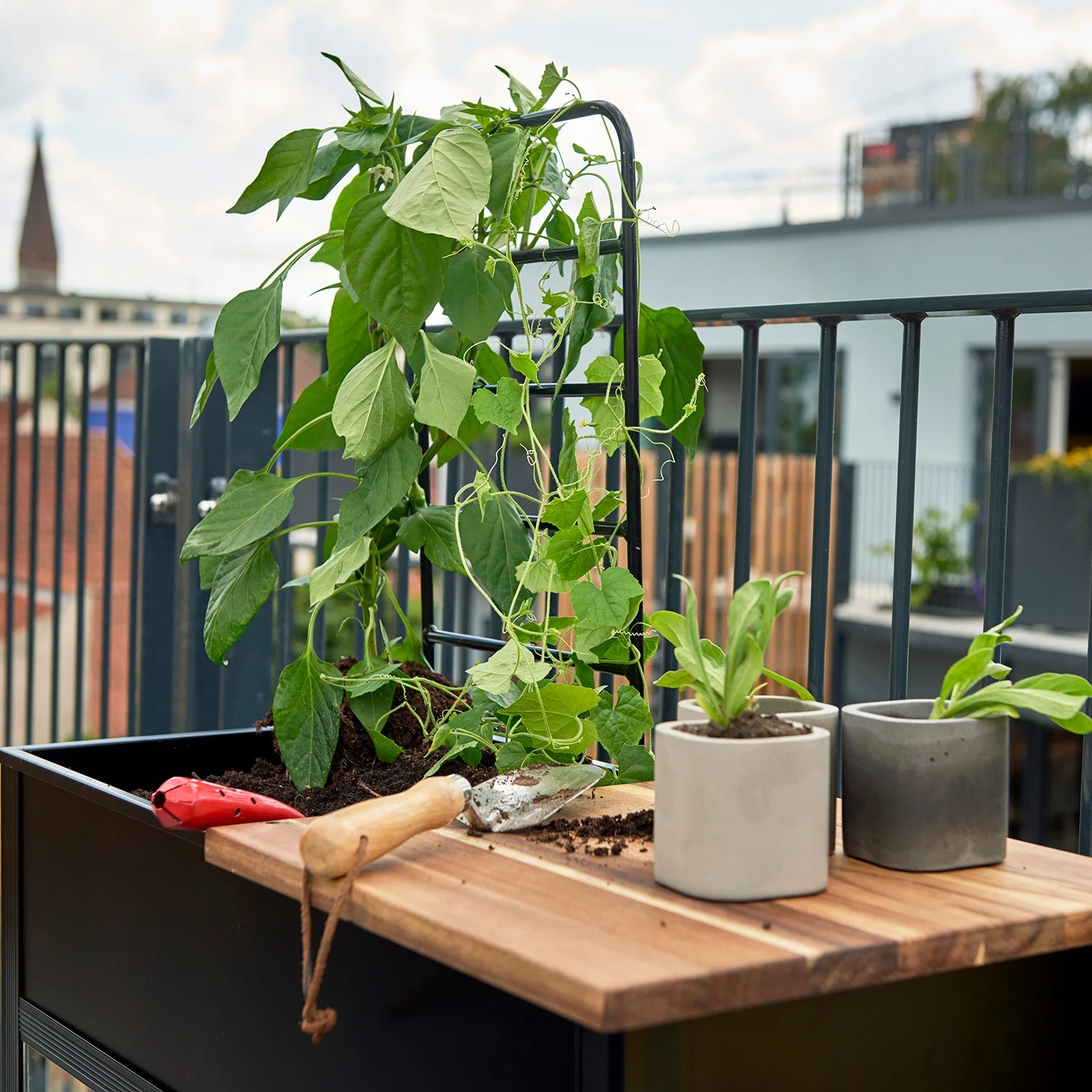 Juliana Vertical Greenhouse 16 Juliana Vertical Greenhouse - Image 14