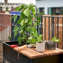 Juliana Vertical Greenhouse 30 Juliana Vertical Greenhouse -GreenHaven Shop JUVERTICAL3