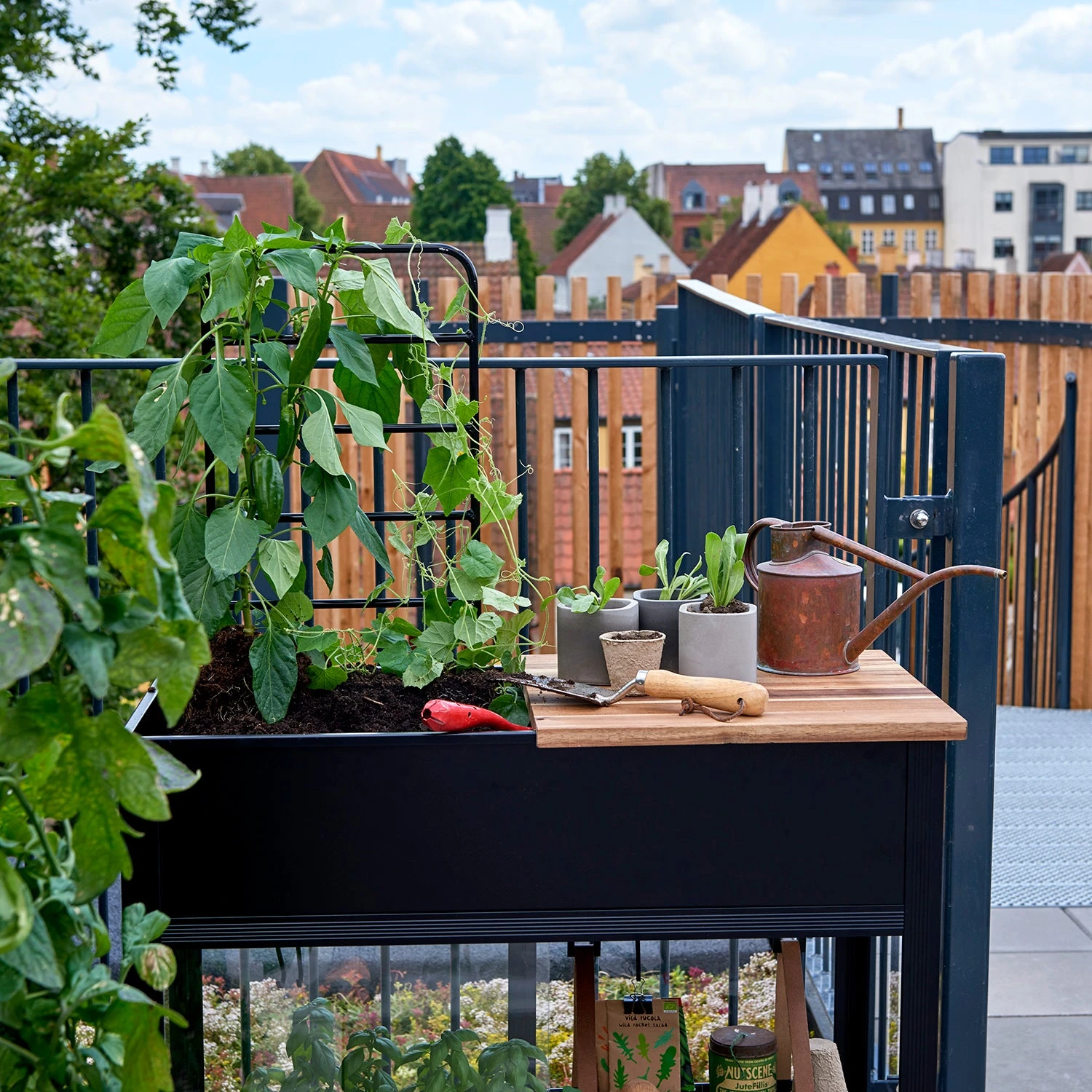 Juliana Vertical Greenhouse 14 Juliana Vertical Greenhouse - Image 12