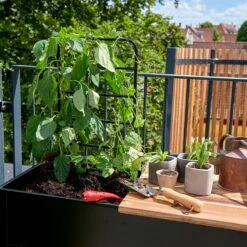 Juliana Vertical Greenhouse 25 Juliana Vertical Greenhouse -GreenHaven Shop JUVERTICAL8