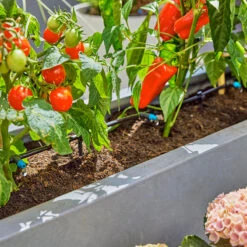 Gardena Micro Drip Irrigation Drip Starter Set 23 Gardena Micro Drip Irrigation Drip Starter Set -GreenHaven Shop LDMDISK4