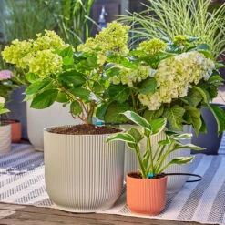 Gardena Micro Drip Irrigation Drip Starter Set 17 Gardena Micro Drip Irrigation Drip Starter Set -GreenHaven Shop LDMDISK8