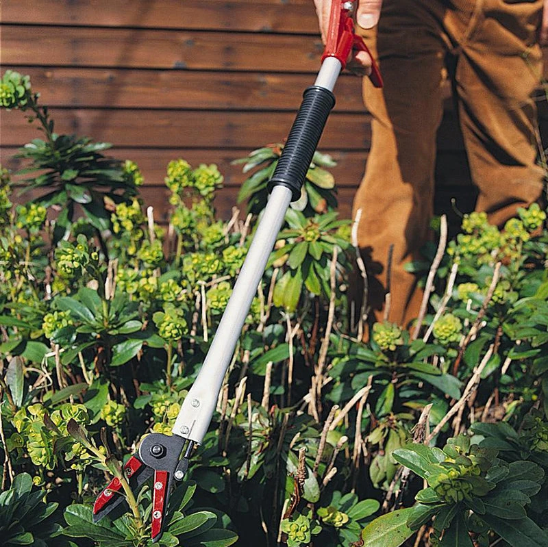 Long Reach Pruner 3 Long Reach Pruner