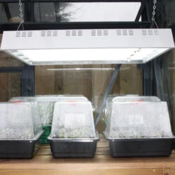 Maxibright Propagation Lights -GreenHaven Shop MPL4